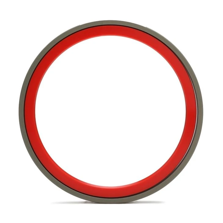 Bronze Filled PTFE Piston Sealing